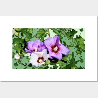 Hibiskus Blume / Swiss Artwork Photography Posters and Art